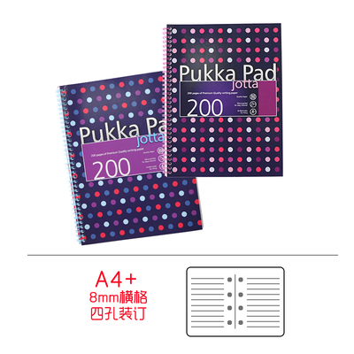 正品英国Pukka pad 80g侧翻线圈阅读笔记本商务A4活页记事本文具