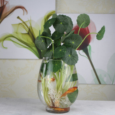包邮透明玻璃花瓶 绿萝水培花瓶 简约花瓶 圆形水培鱼缸 金鱼缸