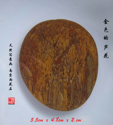 中华一绝 南京雨花石《金色的芦花》纯天然 彩色图画 水石 长江石