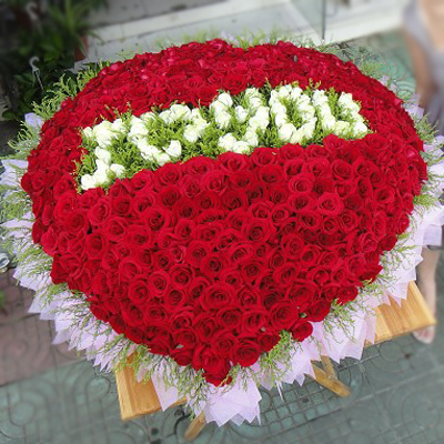 大气999朵红玫瑰 向爱人求婚520朵鲜花速递太原花束356朵送花全国