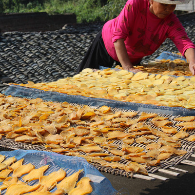 两件包邮湖南土特产农家自制地瓜干 红薯片 手工地瓜片红薯干500g