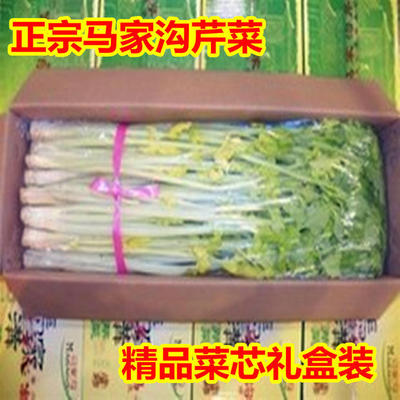 正宗马家沟空芯芹菜平度特产有机绿色新鲜蔬菜精品礼盒4斤包邮