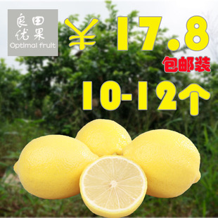 四川安岳尤力克柠檬新鲜水果柠檬现摘黄柠檬一级果2斤10-12个包邮