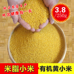 2015年新小米 小黄米 农家米脂小米杂粮 月子米黄小米小米粥 250g