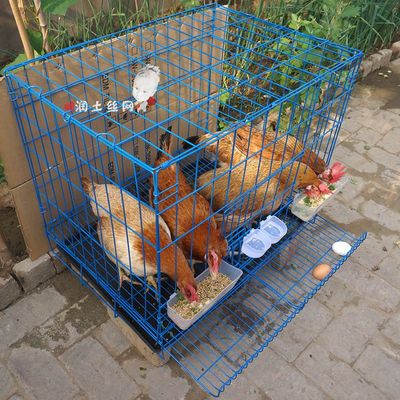 家用鸡笼子养殖家用大号蛋鸡笼折叠土鸡笼母鸡笼自动滚蛋防止啄蛋