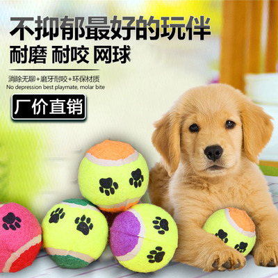 狗狗玩具训练耐咬球金毛泰迪萨摩耶磨牙猫玩具狗网球玩具宠物玩具