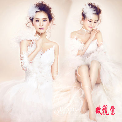 影楼主题婚纱摄影2014新款个人艺术唯美可爱白色羽毛蓬蓬裙W166