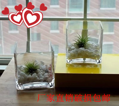 水培植物盆栽花盆 水培花瓶 正方形玻璃水培瓶 方缸 透明玻璃器皿
