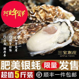 三宝农庄鲜活生蚝乳山牡蛎限量发售，每只125-150g5斤不超过20只