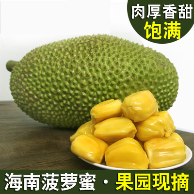 【 送2斤发20斤】海南三亚新鲜水果黄肉菠萝蜜18斤假榴莲多省包邮
