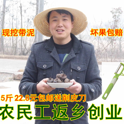 新鲜马蹄荸荠地栗乌芋水果蔬菜皮雀仙桃荆州天门特产荸荠5斤包邮