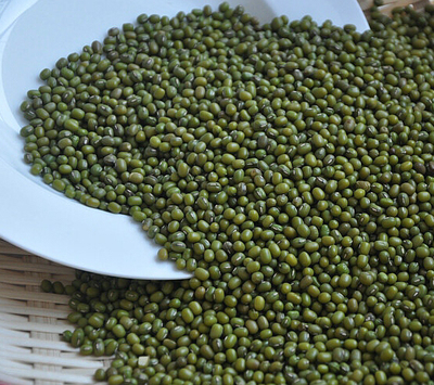 2015年新东北小绿豆500g 绿豆芽种子非转基因杂粮绿小豆4斤包邮