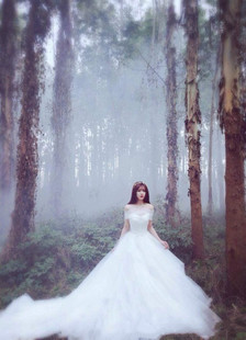 婚纱礼服2015冬季新款抹胸长拖尾一字肩新娘结婚简约齐地外景婚纱