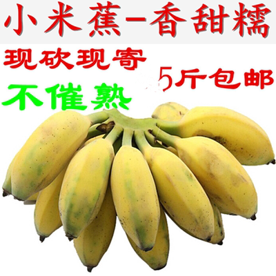 【王丫丫】现砍小米香蕉帝王粉奶蕉非大芭蕉不催熟新鲜水果包邮