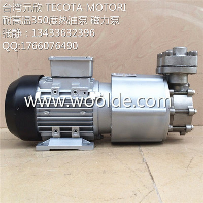 台湾元欣TECOTA 3KW耐高温350度磁力泵 YS-MAPW3000 导热油泵