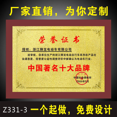 荣誉证书中国著名十大品牌奖牌金箔奖牌榨汁机棋类籽家用z331-3