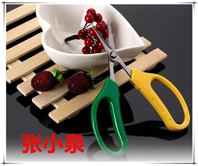 上海张小泉葡萄剪 园艺翘头弯头剪修剪蔬果剪整枝剪刀QFL-19