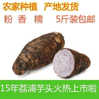 2015新鲜货上市正宗广西荔浦芋头农家种植槟榔香芋5斤装包邮