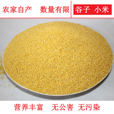 农品新米有机小米500克黄小米小黄米唐山杂粮粥粗粮食三斤包邮