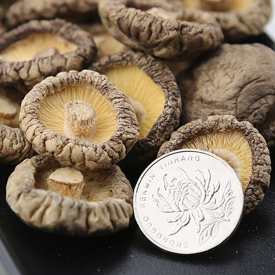 农产品 香菇木耳 肉质肥厚 营养冬菇  土特产 光面 香菇干货500g