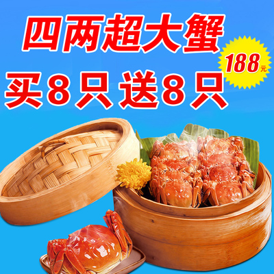 预售大闸蟹鲜活螃蟹 公4.0-3.6两 母3.0-2.6两 8只礼盒装顺丰包邮