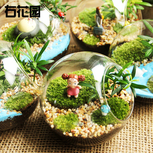 右花园苔藓微景观植物生态瓶绿植盆栽diy小摆件材料桌面创意礼物