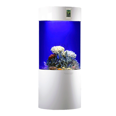 鱼缸水族箱 半圆三过滤生态水族箱 靠墙电视墙海景亚克力鱼缸
