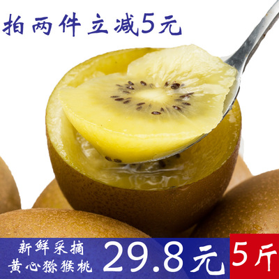 良田优果  蒲江黄心猕猴桃 四川特产直发5斤奇异果新鲜水果中小果