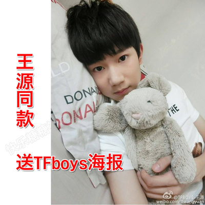TFBOYS王源同款兔子安抚婴儿毛绒玩具公仔娃娃生日礼品礼物