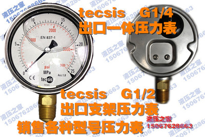 tecsis耐振压力表/抗振压力表/液压机总成/电接点表/油表油压泵站