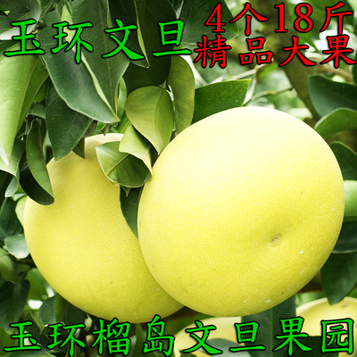 新鲜玉环文旦柚4个超大装18斤楚门垟根应季水果蜜柚329767850