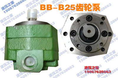 摆线齿轮泵低压油泵液压油泵bb-b10 B16 B25 B32F B40 B50 B100