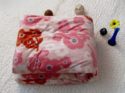 出口日本蝴蝶绒法兰绒盖被学生被单人被子可杂款批发量大订制