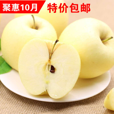 礼县黄元帅苹果 有机黄金帅黄香蕉苹果新鲜黄苹果水果5斤包邮