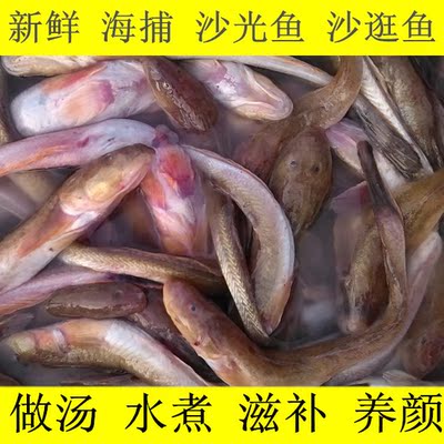海鲜鱼类水产鲜货/鲜活 沙光鱼沙逛鱼地龙鱼鳗珠斑尾刺虎鱼250g