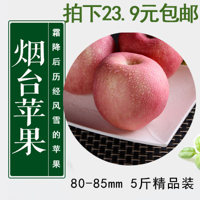 80-85#大果山东烟台苹果霜降后采摘的苹果脆甜5斤80#产地直发