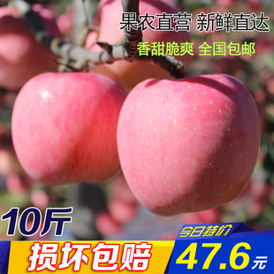现摘陕西新鲜水果农家特产洛川 有机红富士苹果脆甜胜山东烟台
