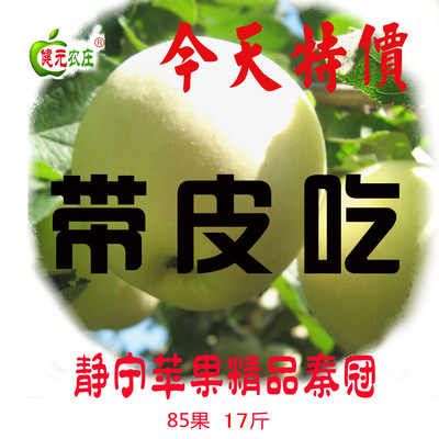 新鲜甘肃静宁白秦冠苹果80级17斤高原有机水果带皮吃促销全国包邮