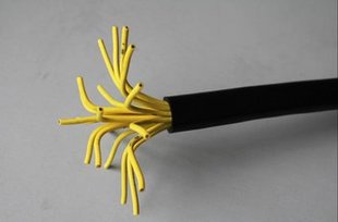 天津市小猫线缆ZR-KVV22 19×2.5平方硬芯钢带铠装控制电线电缆