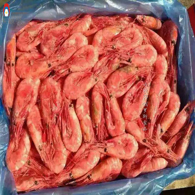 俄罗斯进口马加丹野生北极甜虾冰虾海鲜大龙虾刺身