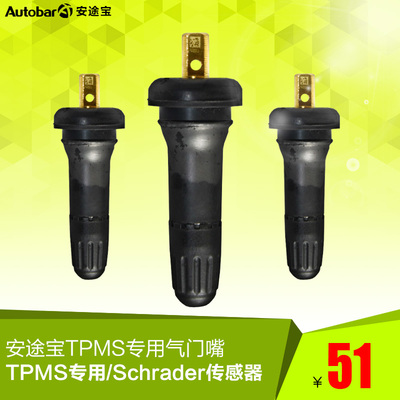 SCHRADER胎压监测气门嘴TPMS专用气门嘴(单只装）安途宝 科帕奇
