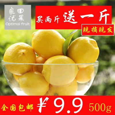 良田优果四川安岳柠檬新鲜水果尤力克黄柠檬一级果500克3-5个包邮