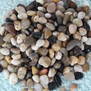 底沙 水草沙 鹅卵石 雨花石 天然沙 3元半斤