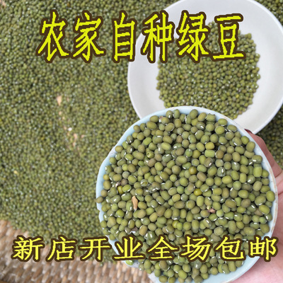 2015新产绿豆 农家自产顶级有机毛绿豆 青小豆笨绿豆解暑250g