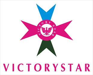 victorystar品牌店