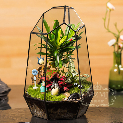 微景观生态瓶苔藓小高花房龙猫摆件盆景结婚礼物家居生日礼物绿植