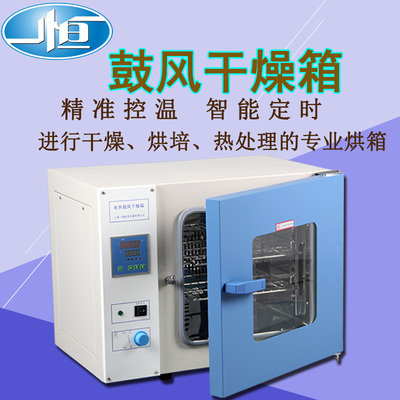 上海一恒 电热恒温鼓风干燥箱高温烘箱高温工业烤箱实验室烘干箱