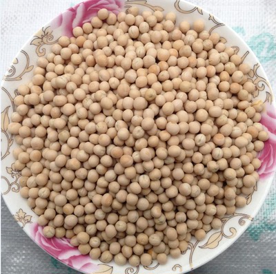 白豌豆 豌豆 炒菜 农家特产 自然健康 豌豆凉粉 五谷杂粮精品