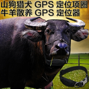 宠物猎犬山狗GPS追踪器散养马牛羊gps定位器电子铃铛养殖远程监控