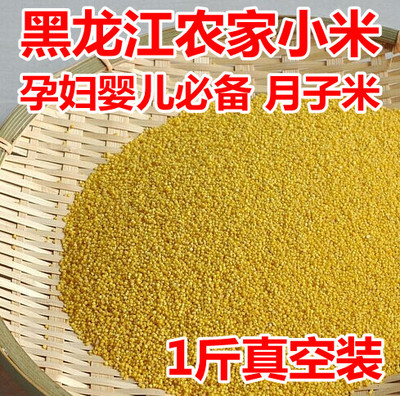 2015年新月子米 五谷杂粮东北农家新小米黑龙江黄小米粥小黄米